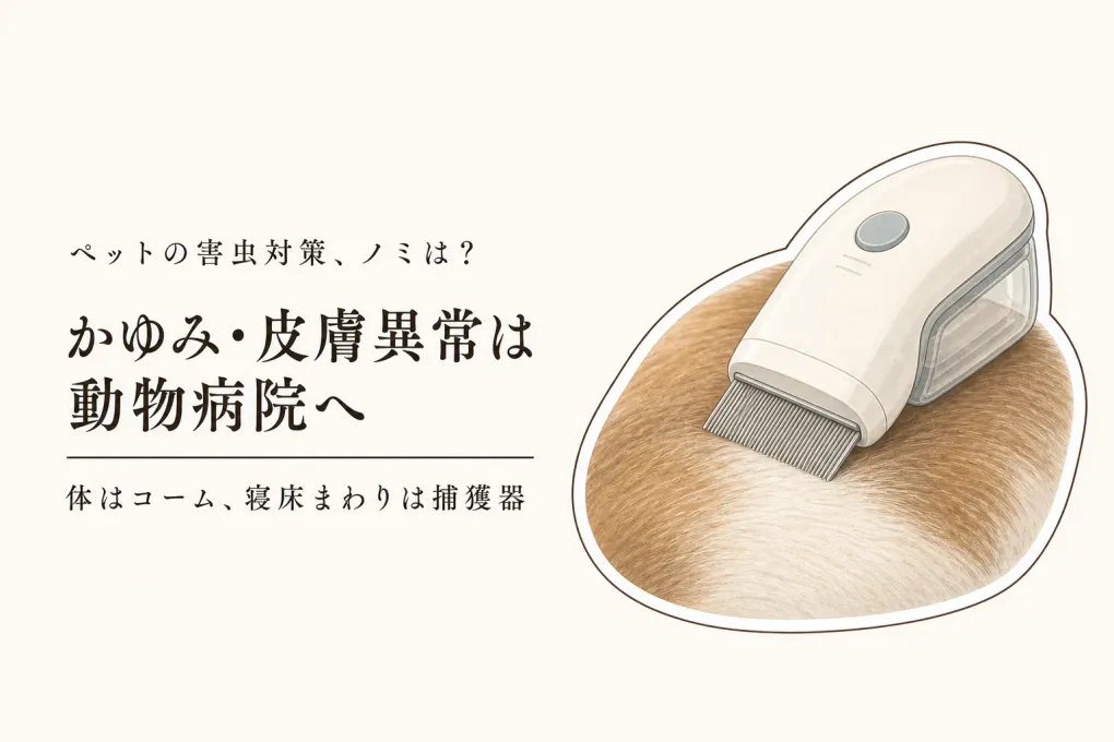 電動ノミ取りコームはいつ使う？ペットの寝床まわりでノミ捕獲器を試す前に動物病院へ相談する目安