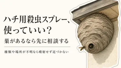 ハチ用殺虫スプレーは使っていい？巣を見つけたときの自治体・専門業者への相談目安